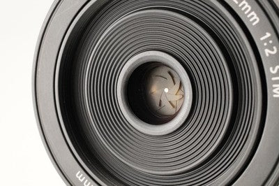 [Near Mint] Canon EF-M 22mm f/2 STM AF Pancake Prime Lens #455